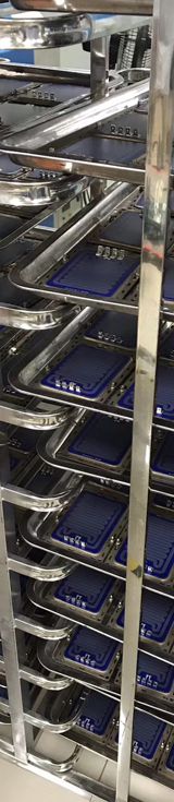 Thick Film Heating Elements